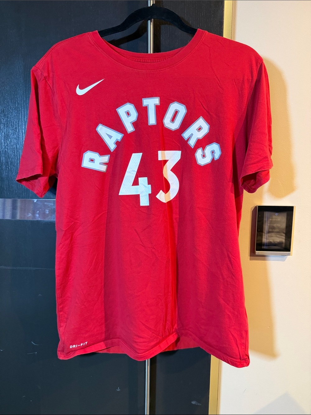 Nike Red Raptors #43 Team Tee